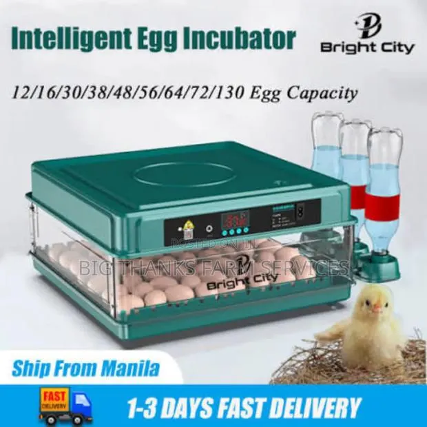48 Egg Incubators, Automatic · Photo 1