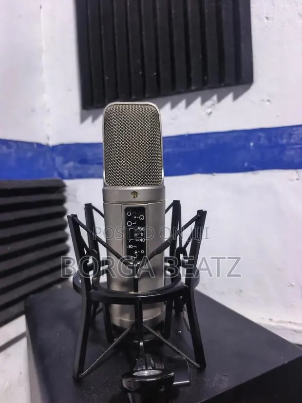 Rode NT2-A Condenser Microphone · Photo 1