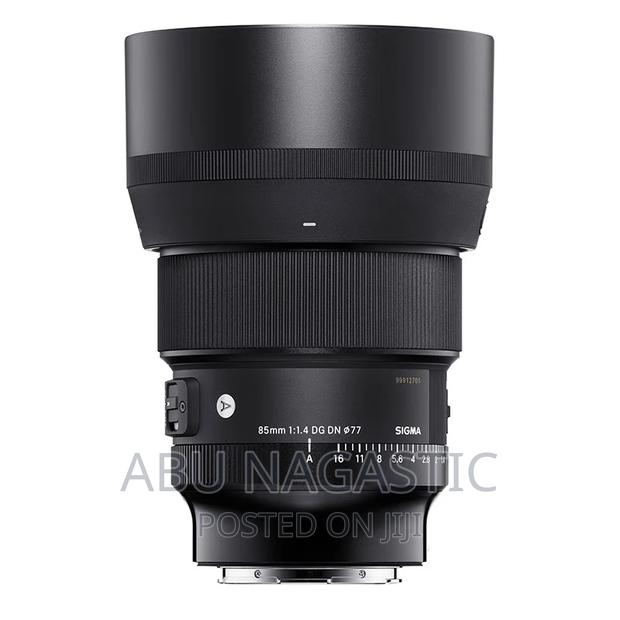 Sigma 85MM F1.4DG Art Lens · Photo 3
