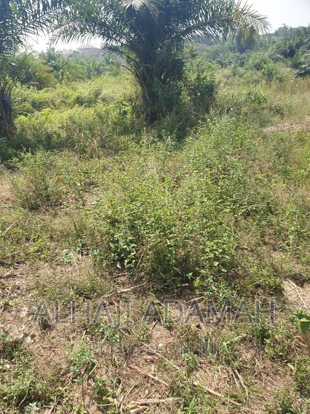 Plot for Sale at Brofoyendro Darko · Photo 1