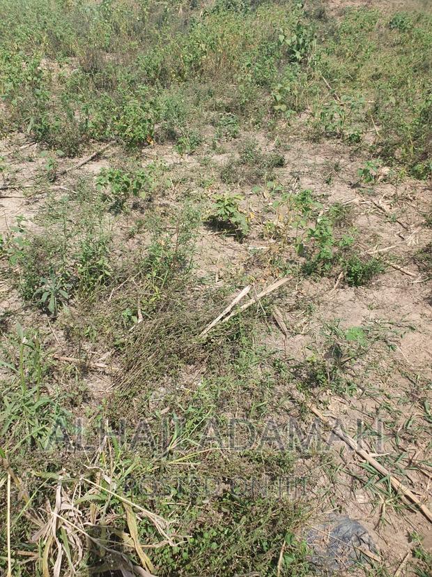 Plot for Sale at Brofoyendro Darko · Photo 4