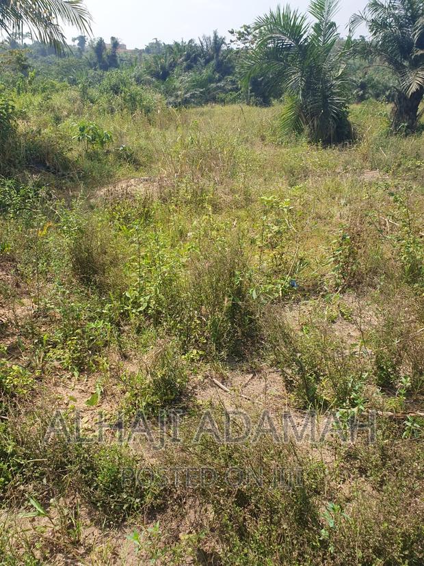 Plot for Sale at Brofoyendro Darko · Photo 7