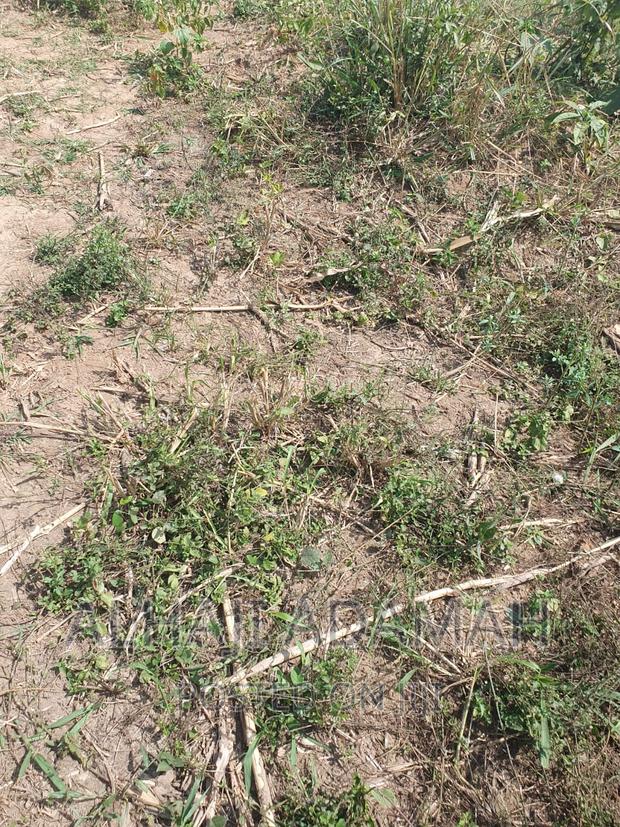 Plot for Sale at Brofoyendro Darko · Photo 8