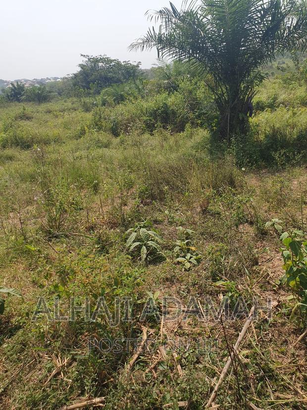 Four Plots of Lands at Brofoyendro Darko · Photo 2