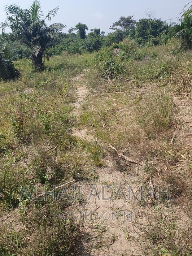 Four Plots of Lands at Brofoyendro Darko · Photo 3