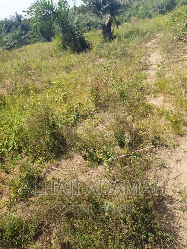 Four Plots of Lands at Brofoyendro Darko · Photo 4
