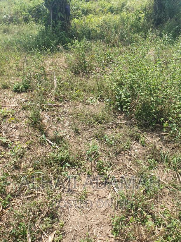 Four Plots of Lands at Brofoyendro Darko · Photo 7