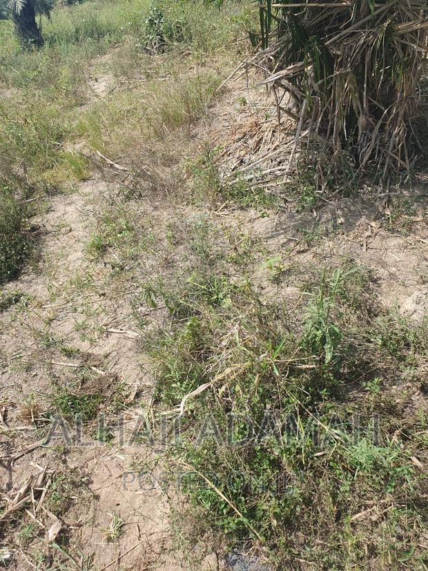 Four Plots of Lands at Brofoyendro Darko · Photo 8