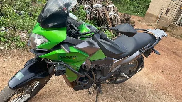 Kawasaki Versys X300 2017 Green · Photo 1