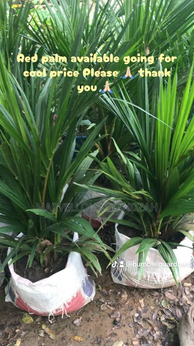 Humble Gardens · Photo 1