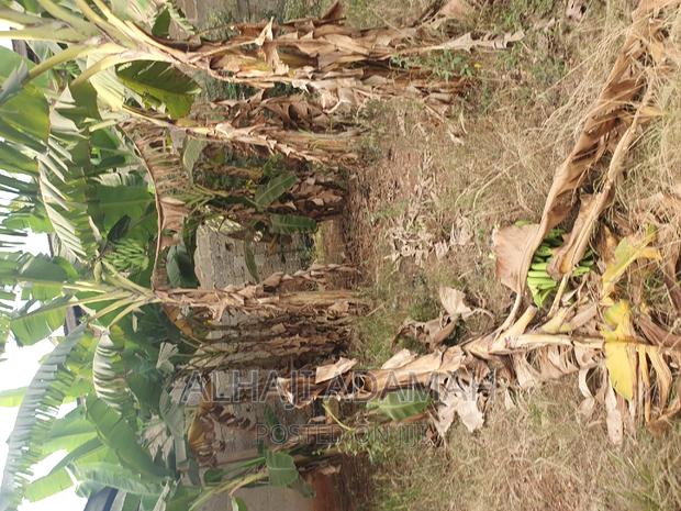 Two Plots for Sale at Santasi Brofuyendro · Photo 6