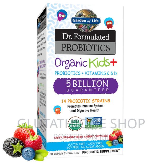 Garden of Life Probiotic Chewable Dr. Formulated Organic Kid · Photo 4