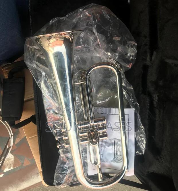 Titanic USA YFH-631GS Bb Flugelhorn · Photo 2