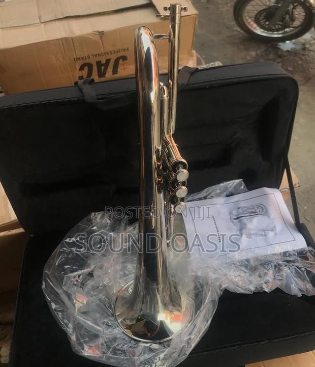 Titanic USA YFH-631GS Bb Flugelhorn · Photo 3