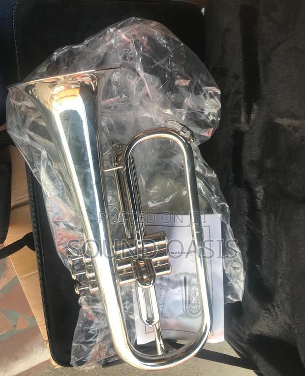 Titanic USA YFH-631GS Bb Flugelhorn · Photo 1