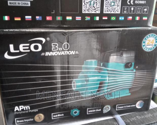 075 Leo Pump