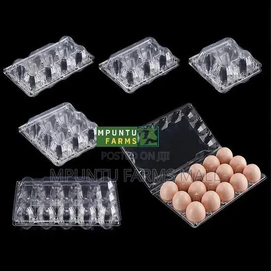 15 Holes Transparent Egg Crates · Photo 1