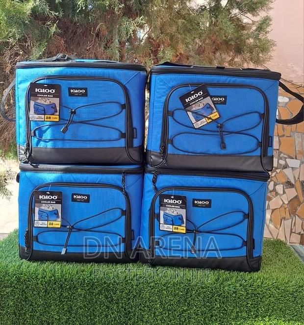 Igloo Insulated Cooler Bag 24 Cans Capacity · Photo 1