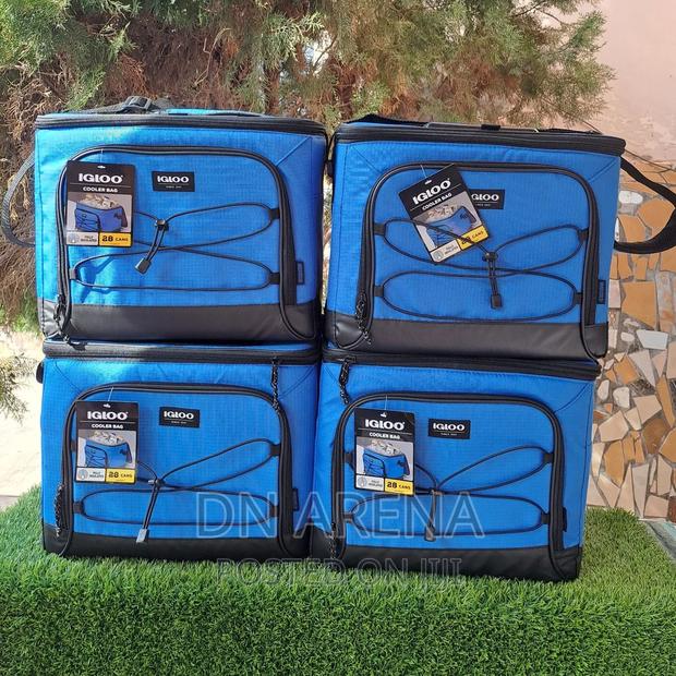 Igloo Insulated Cooler Bag 24 Cans Capacity · Photo 2
