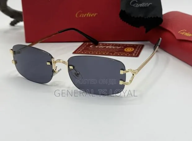 Cartier Rimless Glasses With Stainless Handles · Photo 1