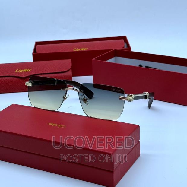 Best of Cartier Sunglasses · Photo 4