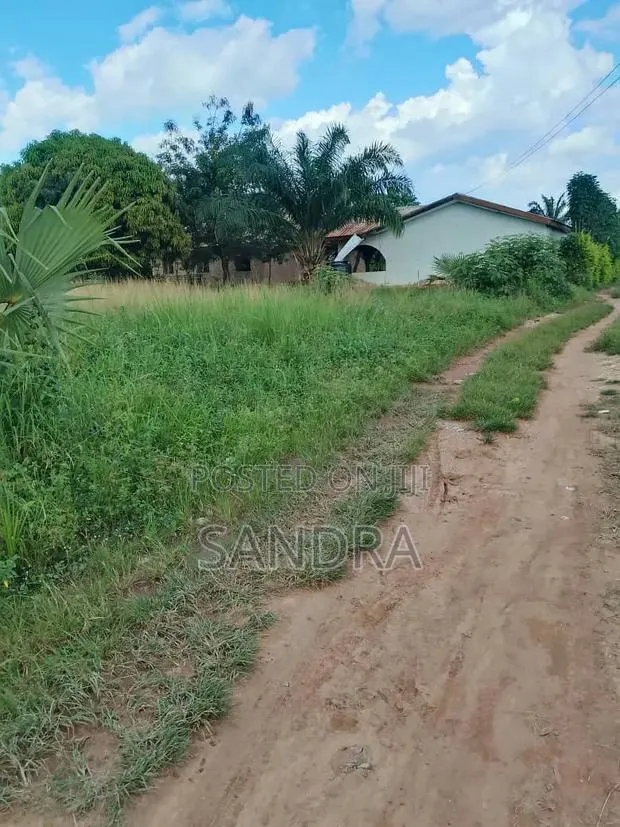 Land for Sale · Photo 1