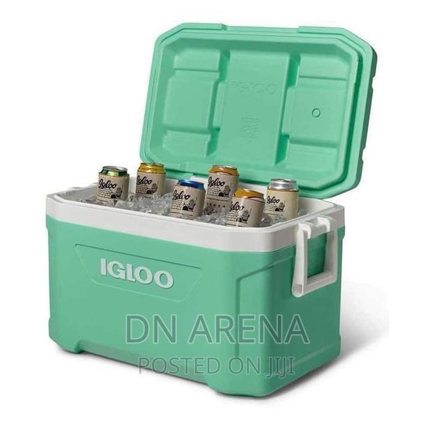 Igloo 52/50 Quart Ice Cooler Box · Photo 3