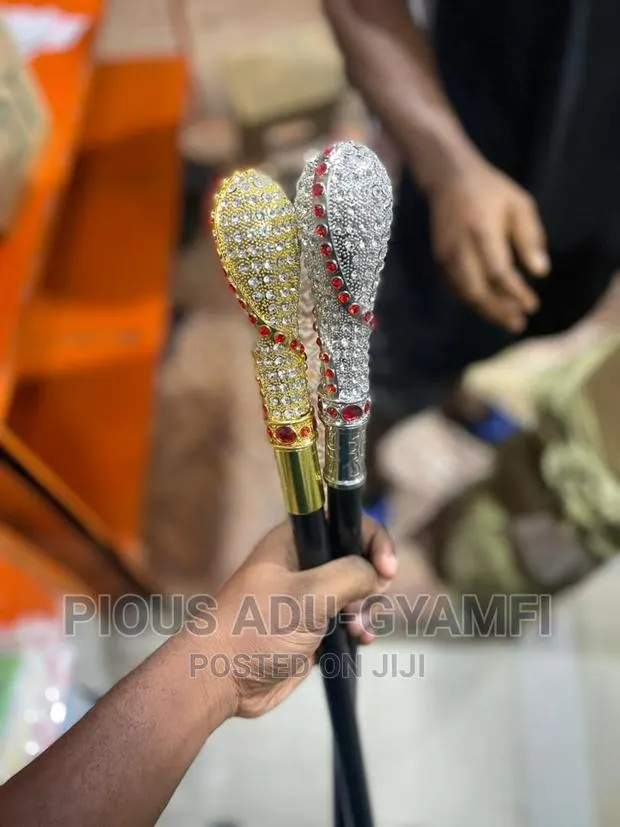 Walking Stick · Photo 1