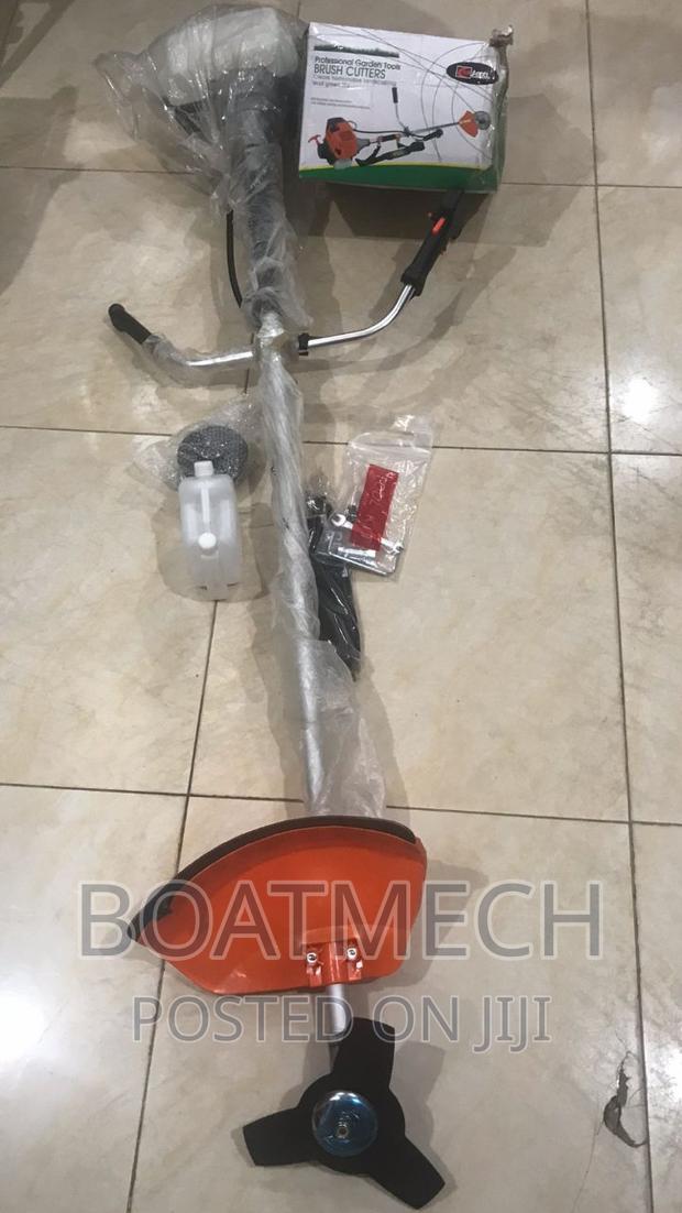 Briggs and Stratton Grass Trimmer · Photo 1