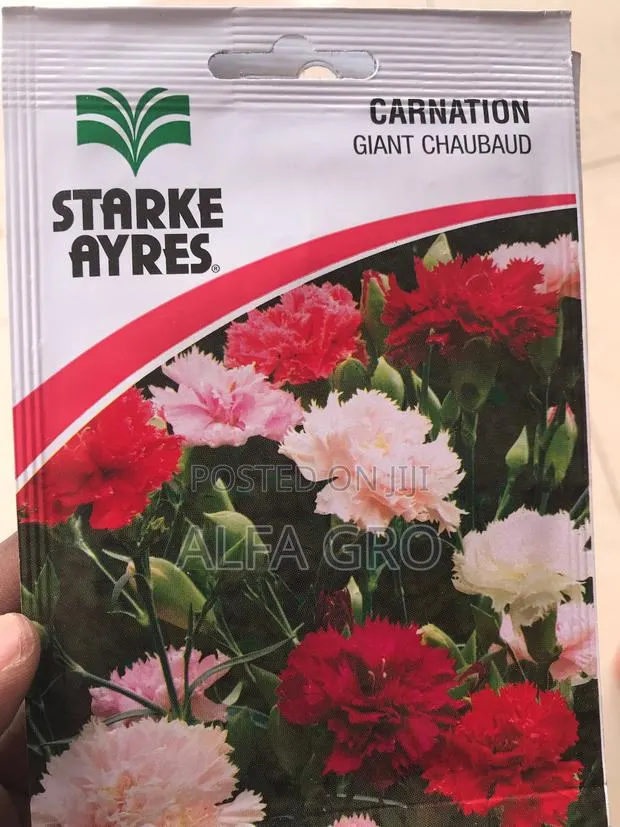 Sweet Scented Flower Seeds(3 in 1) · Photo 1