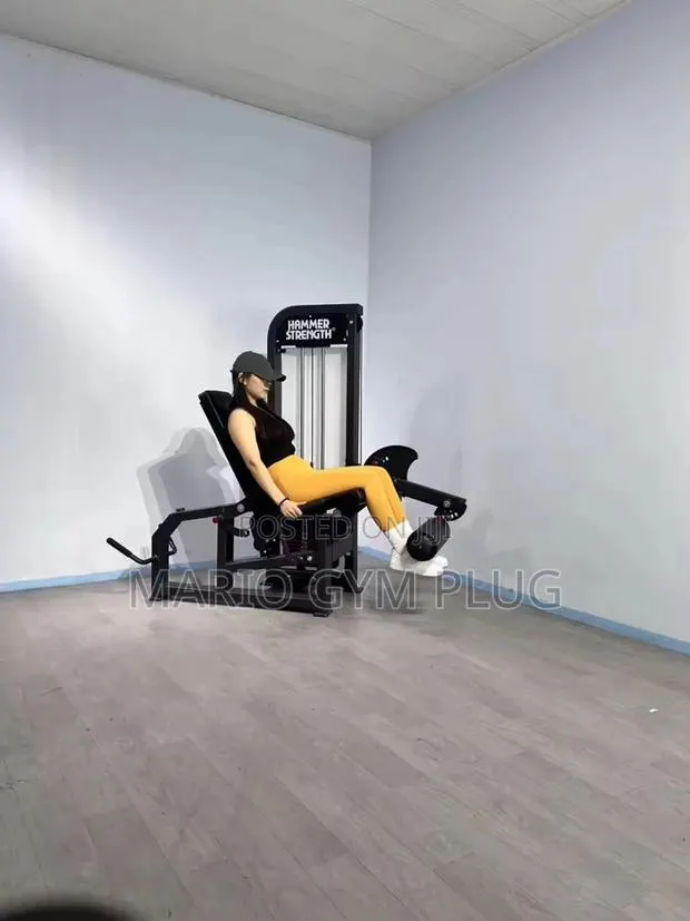Leg Extension Leg Curl Commercial · Photo 1