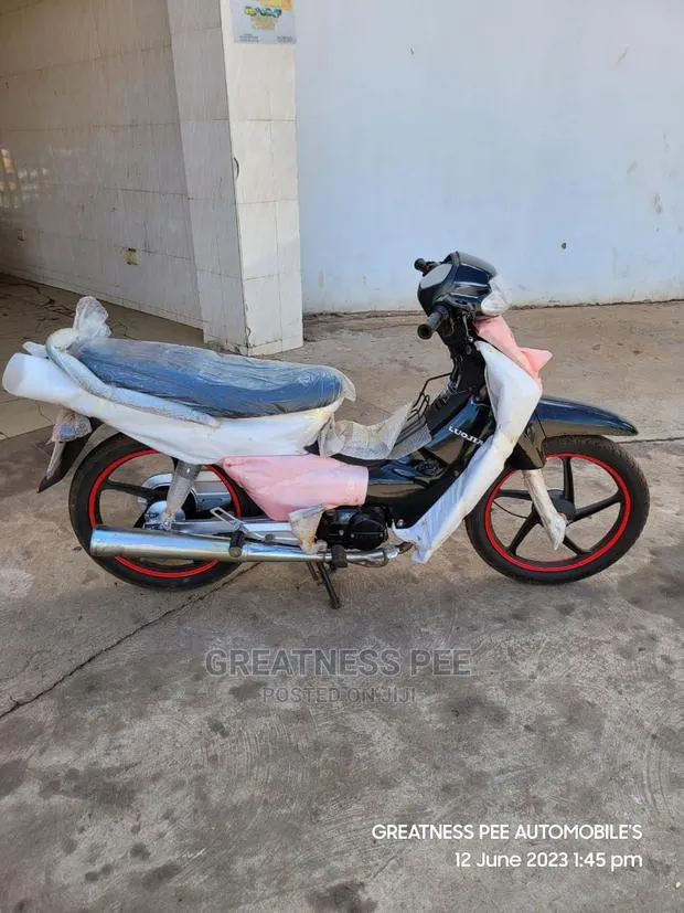 Luojia LJ110ZH-A 2018 · Photo 1