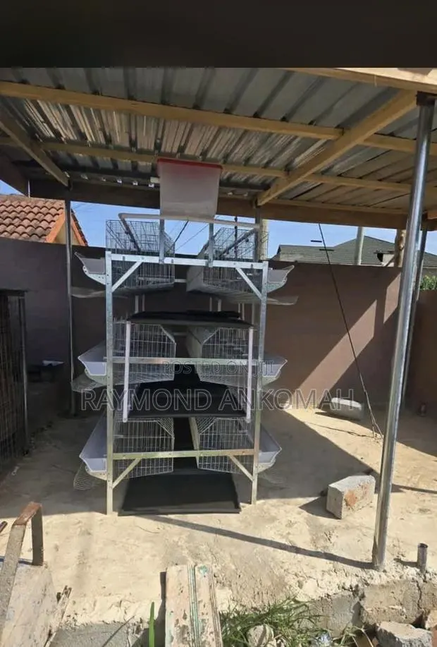 Battery Cages · Photo 1