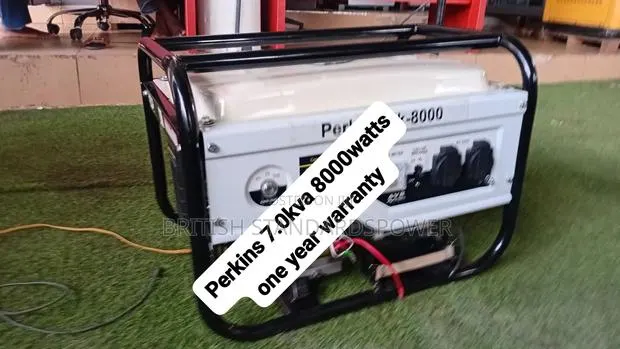 Upgrade Your Backup Power With the Perkins 7.0kva Generator · Photo 1