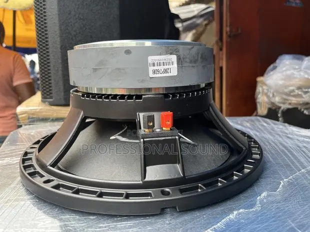 Jac 12” Double Magnet · Photo 1