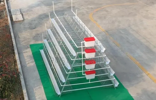 A-type Layers Chicken Cage System · Photo 1