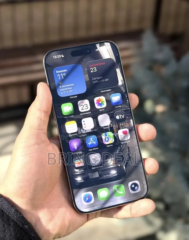 Apple iPhone 15 Pro Max 256 GB Silver · Photo 1