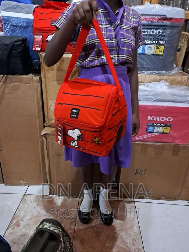 16 Can Capacity Snoopy's House Lunch Bag · Photo 3