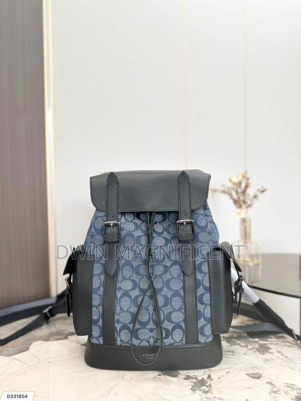 Coach/ Dior /Louis Vuitton and Gucci Backpack · Photo 7