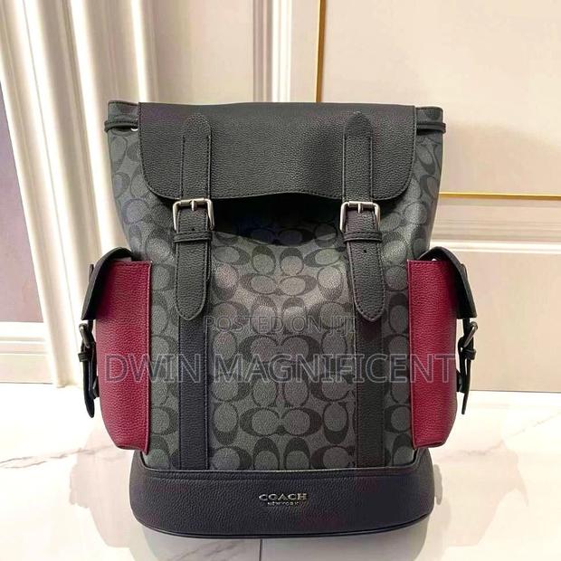Coach/ Dior /Louis Vuitton and Gucci Backpack · Photo 3