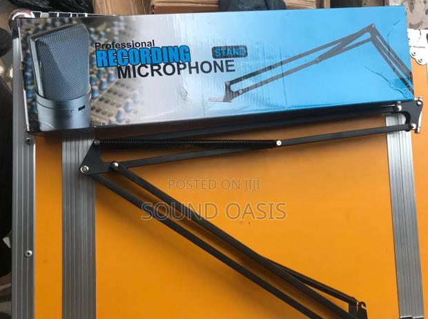Professional Recording Microphone Stand · Photo 2