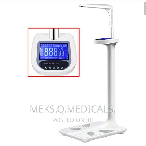 Bmi Scale With Height · Photo 2