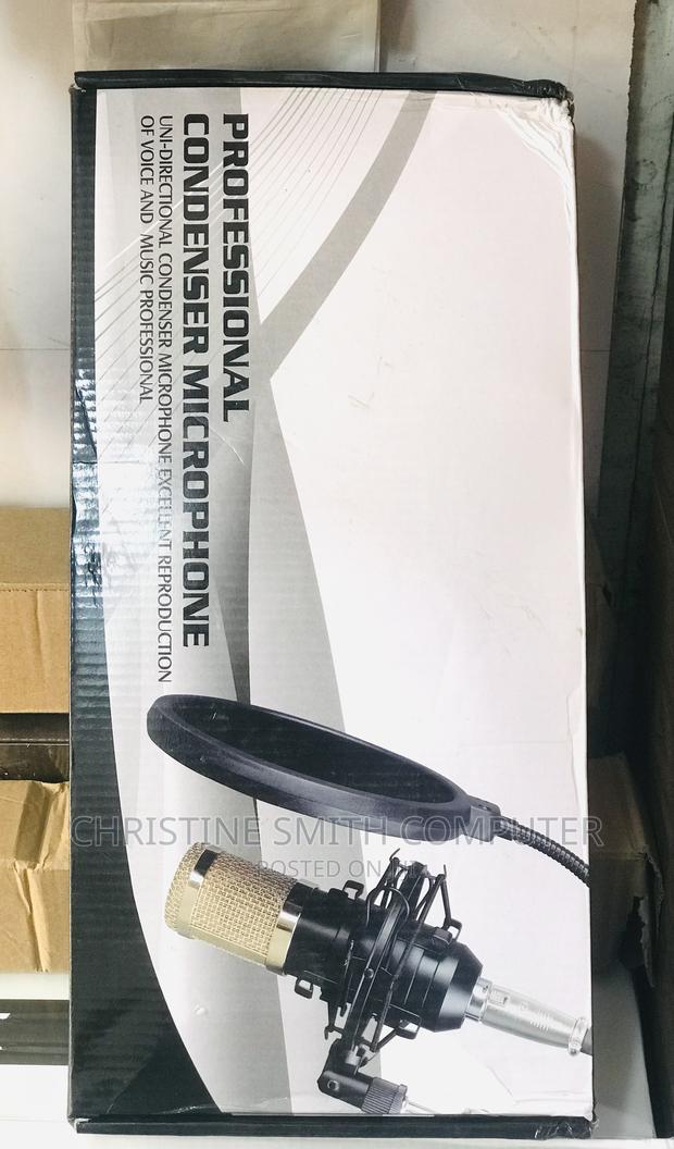 Professional Condenser Microphone · Photo 2
