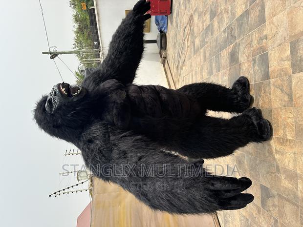 Gorrila Outfit · Photo 2