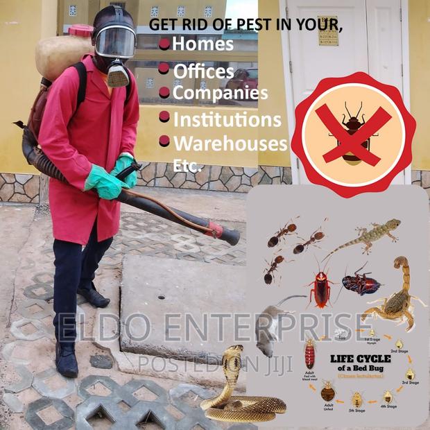 Fumigation (Pest Control) Service · Photo 1
