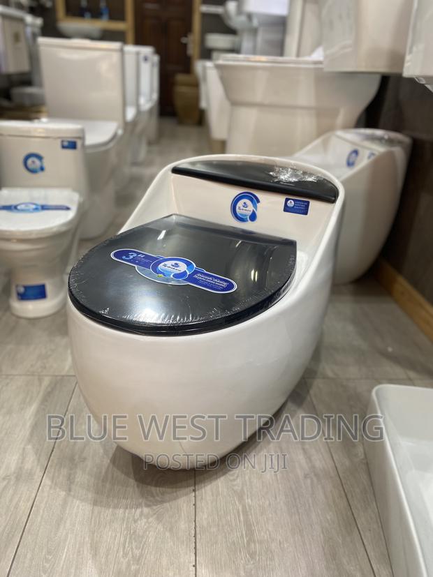 Egg Shaped Water Closet (BLACK AND WHITE) · Photo 1