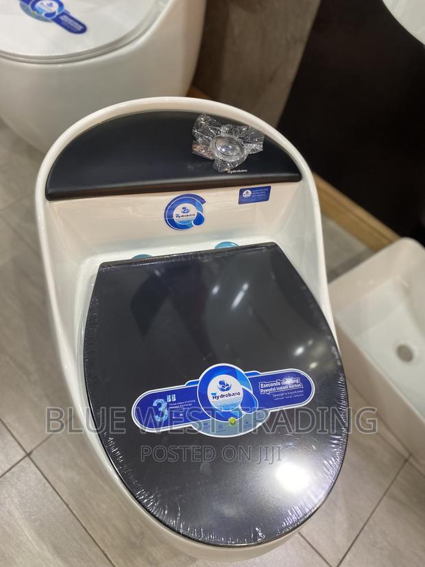 Egg Shaped Water Closet (BLACK AND WHITE) · Photo 4