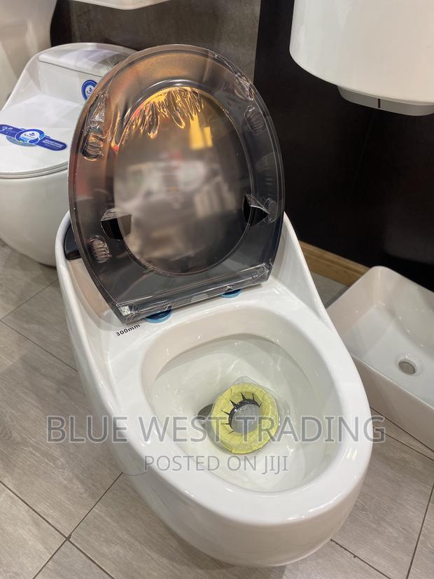 Egg Shaped Water Closet (BLACK AND WHITE) · Photo 3