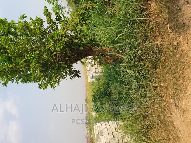 Plot for Sale at Brofuyedro Darko · Photo 1