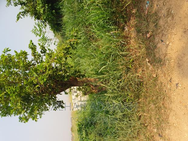 Plot for Sale at Brofuyedro Darko · Photo 3